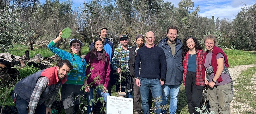 Il “Bosco Diffuso Despar” continua a crescere